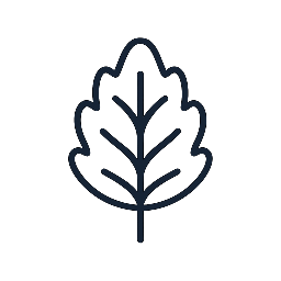 Queen Been Herbal Wellness ltd Co